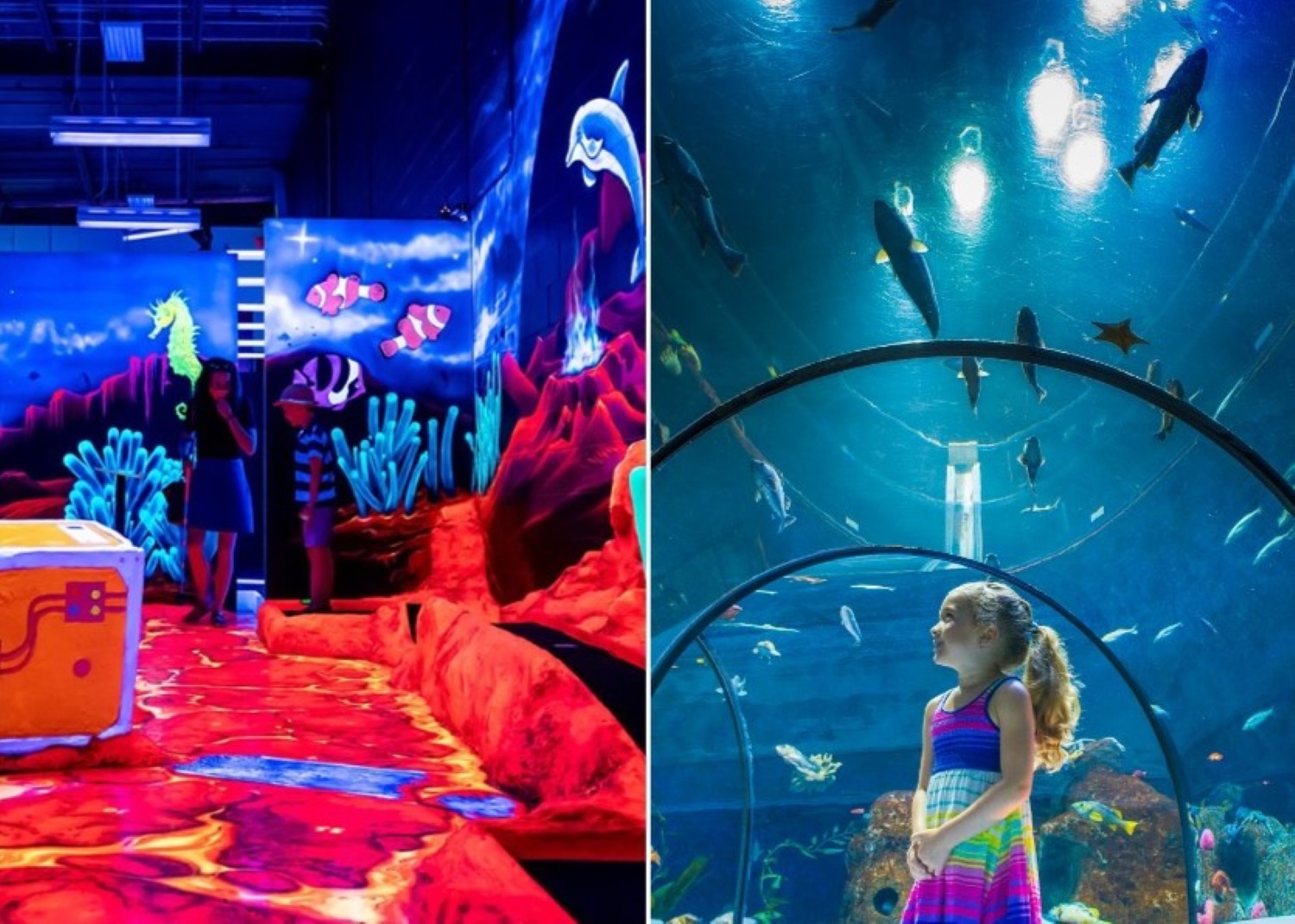 Que faire a quebec quand il pleut ? août 2025